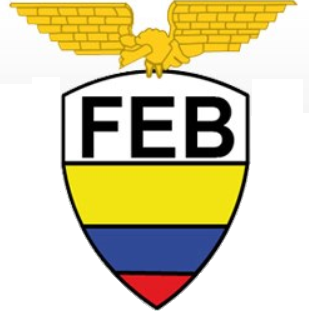 Ecuador 0-Pres Primary Logo iron on transfers for T-shirts